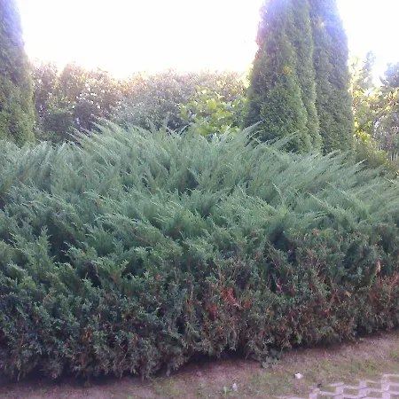 Tilajujhegyi Apartman